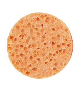 120185 Peggy Sage Luonnollinen vartalo sieni, halkaisija 10 cm