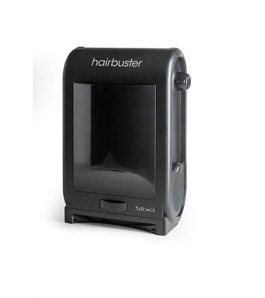 12345 Sibel hiusimuri