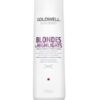 Goldwell DualSenses Blondes & Highlights Shampoo 250 ml