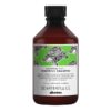 Davines-NaturalTech-Renewing-Shampoo-250-ml Davines NaturalTech Renewing Shampoo 250 ml