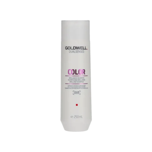 Goldwell DualSenses Color Brilliance Shampoo 250 ml