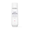 Goldwell DualSenses Just Smooth Taming Shampoo 250 ml