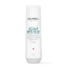 Goldwell DualSenses Scalp Specialist Anti-Dandruff Shampoo 250 ml