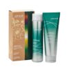 JOICO-Joifull-Double-the-Joy Joico Joifull Holiday Duo