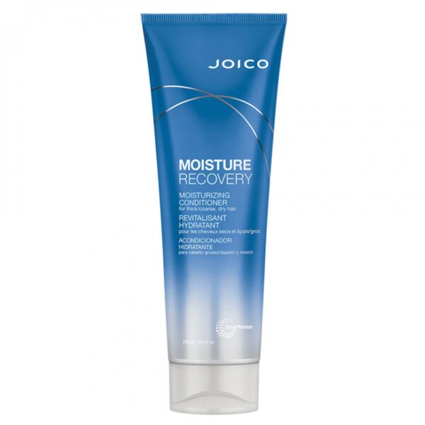 Moisture-Recovery-Conditioner-250-ml Joico NEW! Moisture Recovery Conditioner 250 ml