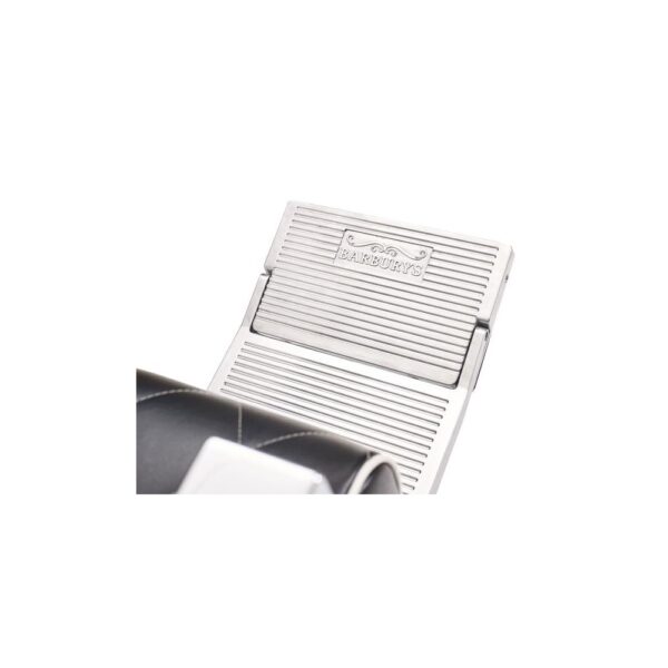 Sibel Dylan Barburys parturituoli