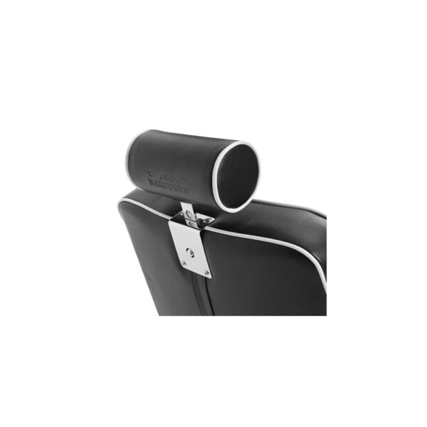 Sibel Dylan Barburys parturituoli