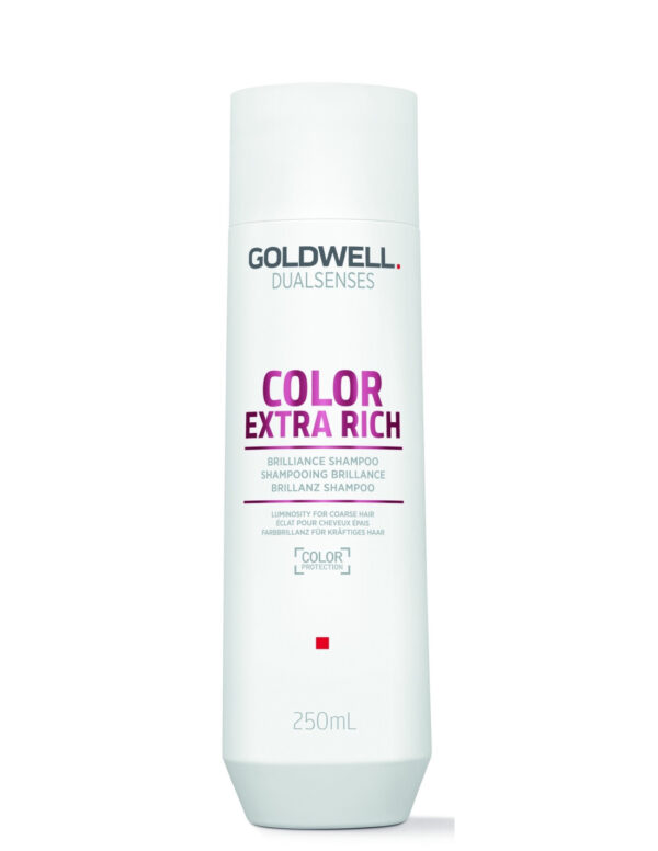 Goldwell DualSenses Color Extra Rich Brilliance Shampoo 250 ml